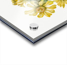 Cylindropuntia whipplei 1938 Acrylic print