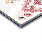 Fireweed Epilobium angustifolium 1902 Acrylic print