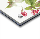 Lewis Monkey Flower Mimulus lewisii 1899 Acrylic print