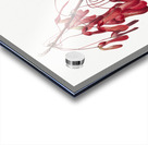 Carolina Maple Acer carolinianum 1923 Acrylic print