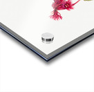 Winterberry Ilex verticillata 1920 Acrylic print