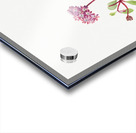 Sand Verbena Abronia umbellata 1936 Acrylic print