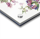 Prairie Pentstemon Pentstemon erianthera 1923 Acrylic print