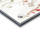 Flower Study 1883–1900 Acrylic print