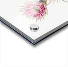 Cucumber cactus 1939 Acrylic print