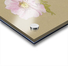 Flower Study 1876–1878 Acrylic print