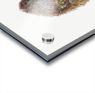 Green Strawberry Cactus Echinocereus viridiflorus 1925 Acrylic print