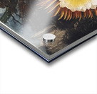 The Night–Blowing Cereus Acrylic print