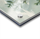 The Narrow–Leaved Kalmia Acrylic print