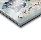 The Narrow–Leaved Kalmia Acrylic print