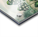 A Group of Auriculas Acrylic print