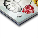 Tulips  Acrylic print