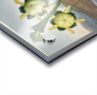 Pitcher Plant  Acrylic print