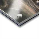 The Snowdrops Acrylic print