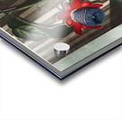 The Winged Passion-Flower Acrylic print