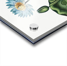 The Blue Egyptian Water-Lily Acrylic print