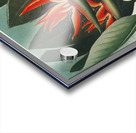 The Queen–Plant  Acrylic print