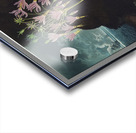 The American Cowslip Acrylic print