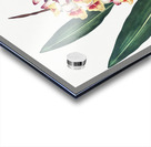 The Nodding Renealmia Acrylic print