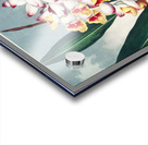 The Nodding Renealmia Acrylic print