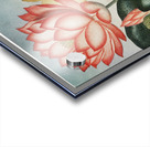 The Sacred Egyptian Bean Acrylic print