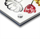 Tulips Acrylic print