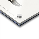 Tucana Piperivora Mangiapepe Toucan Impression Acrylique