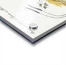 Manucodiata sive paradisaea Bird of Paradise Acrylic print