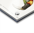 Tucana Aracari Brasilensibus Toucan Acrylic print