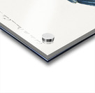 Cucule celeste della China Cuckoo Impression Acrylique