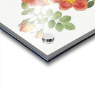 Vintage Austrian Briar rose Acrylic print