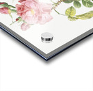 Four seasons rose in bloom Acrylic print