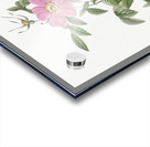 Pink boursault rose Acrylic print