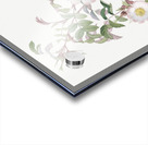 Pink boursault rose Acrylic print