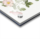 Redleaf rose in bloom Acrylic print