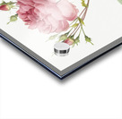 Pink agatha rose Acrylic print