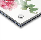 Seven sisters rose in bloom Acrylic print