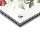 Blooming alpine rose Acrylic print