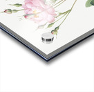 Anemone flowered sweetbriar rose Acrylic print