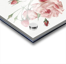 Anemone flowered sweetbriar rose Acrylic print