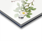 Vintage Rose of Dematra Acrylic print