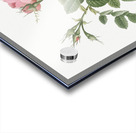 Small damask rose Acrylic print