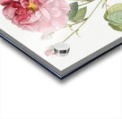 Vintage rosa gallica rose Acrylic print