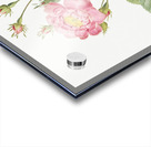 Vintage pink rose Acrylic print