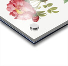 Pink provins rose Acrylic print