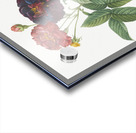 Van eeden rose Acrylic print