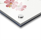 Blooming pink roses Acrylic print