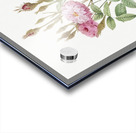 Mossy pompon rose Acrylic print