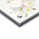 Flowering rosebush Acrylic print