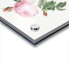 Provence rose in bloom Acrylic print